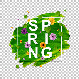 春天横幅与花透明背景背景图片