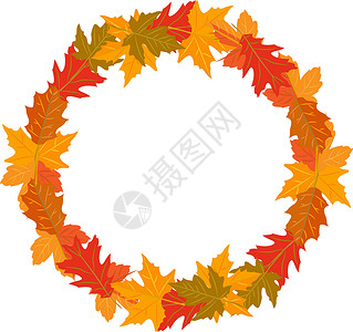 秋季圆花圈的矢量说明 黄绿色红褐色叶植物卡片框架橙子橡木圆圈插图红色横幅森林插画