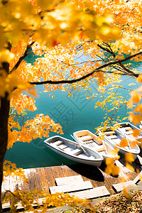 川行双城日本福岛秋天日本 乌拉班达伊晴天绿色池塘旅行红色叶子吸引力青沼黄色公园背景
