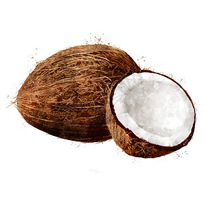 白色背景上的椰子 它制作水彩画厨房食物插图标签斑点果汁生态坚果蜜饯美食背景图片
