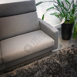 灰色植物灰色沙发和植物的客厅详情背景