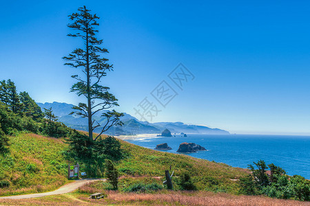 生态州公园海景沿岸海岸树木天空海洋高清图片