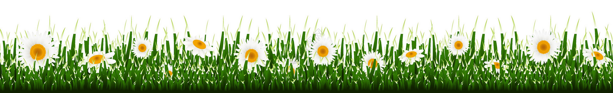 黄色圆框花边框草花边框横幅销售草药草本植物树叶玻璃海报生长植物生态设计图片