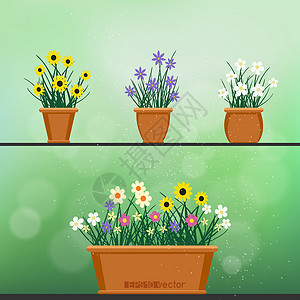 莲花盆绿色背景的花朵花盆插画