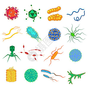 动物双歧杆菌细菌和细菌五颜六色的集合微生物致病物体不同类型的细菌病毒真菌原生动物 在白色背景上孤立的矢量平面样式卡通插图插画