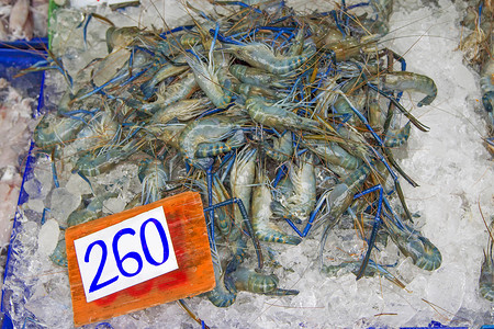 在冰价标签(铢)中 许多活淡水虾背景图片