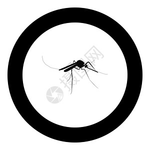 寨卡病毒圆圈中的蚊子图标黑色设计图片