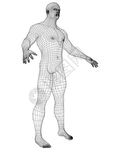 白色背景上的线框运动员身体蓝图插图技术网格运动药品数字框架解剖学金属背景图片