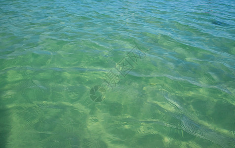 摇动海平面的青松绿蓝色海水表面波浪背景图片