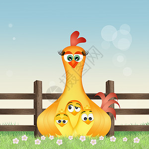 母鸡和小鸡在农场插图庆典明信片翅膀夫妻动物背景图片
