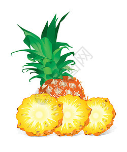 吃菠萝它制作图案菠萝插画