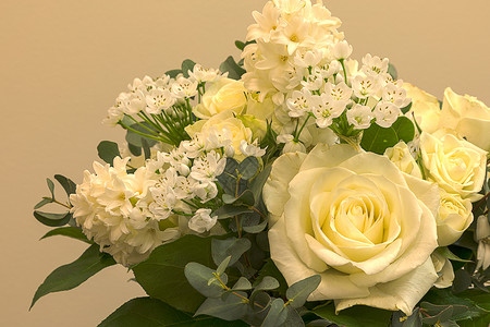 白星风信子白色婚礼花束花束 包括玫瑰白花绣球花装饰风格花朵白丁香背景