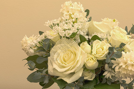 白星风信子白色婚礼花束花束 包括玫瑰装饰白花花朵白丁香风格绣球花背景