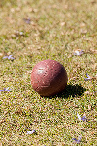 绿色草地上的博采球运动场地游戏乐趣娱乐背景图片