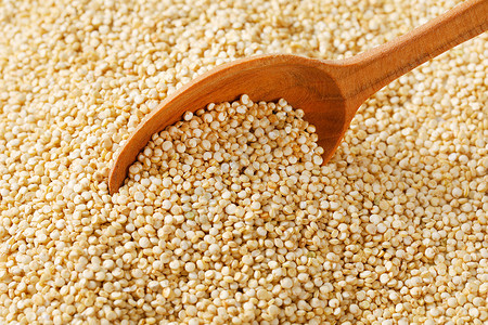 白quinoa种子勺子营养内核食物画幅粮食白色背景图片