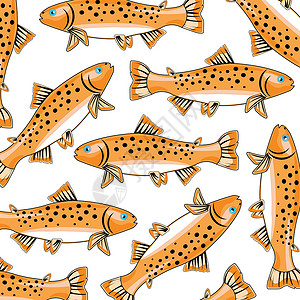 溪鳟鱼鱼类鳟鱼型插画
