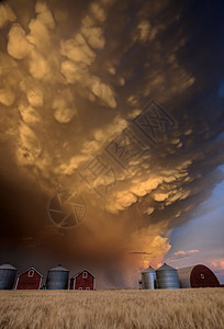 加拿大曼马图斯云暴荒野天气危险戏剧性场景乳状风景风暴天空雷雨背景图片