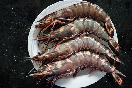 大王大虾居住盘子餐厅美食海鲜海洋动物市场国王背景图片