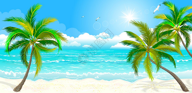 有棕榈树的热带热带海滩蓝色风情插图天空植物海景海洋太阳绿色异域背景图片