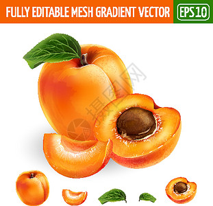 吃杏子白背景上的杏子 矢量插图标签包装蜜饯厨房生态食物美食水果叶子甜点插画
