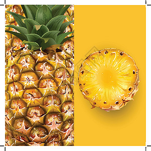 Pineapple 矢量插图背景图片