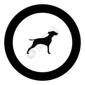 猎狐犬移动圆形的高清图片