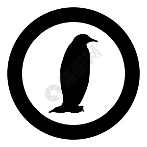 坐在冰箱里圆黑色矢量插图中的企鹅图标设计图片