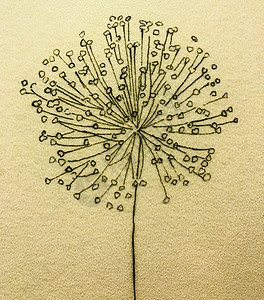 纹理自然花卉动机装饰背景特写概念背景图片