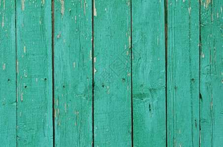 具有亮绿色油漆质感的纯木板背景图片