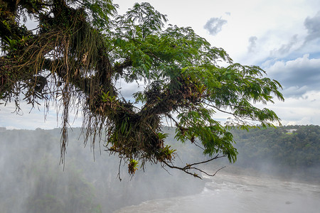 伊瓜苏河iguazu瀑布上的Parana河世界天空拉丁旅游热带太阳风景地标瀑布急流背景