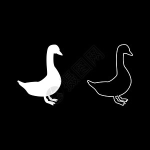 白切鹅Goose 图标设置白颜色插图平板样式插画