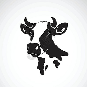 牛头肉白背景牛头设计矢量 农场动物 Vect食物草图牛奶农业眼睛国家卡通片家畜插图小牛插画