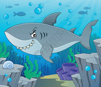 鲨鱼专题图2背景图片