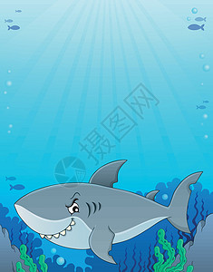鲨鱼专题图像3背景图片