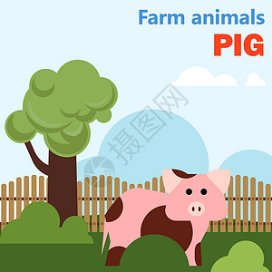 农场动物 pi背景图片