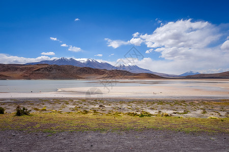 阿尔什湖玻利维亚苏德利佩斯阿尔蒂普拉诺保留地旅游沙漠风景高原太阳保护晴天荒野天空旅行背景