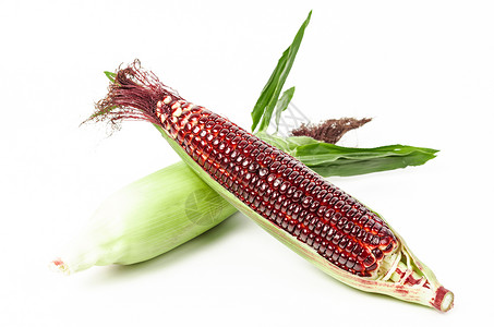 新鲜红玉米季节食物种子植物紫色棒子红宝石粮食收成营养背景图片