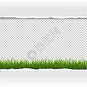 绿草和撕纸边框文档横幅标签边界边缘蓝色广告插图框架艺术背景图片