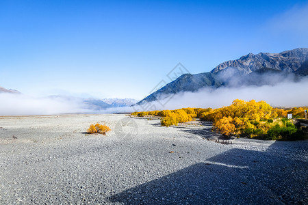 新西兰山区平原的雾雾蓝色黄色风景荒野假期氨氮橙子天空森林火车背景