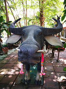 老水牛素材用于佛像的陶瓷娃娃泰国动物风格艺术祷告庆典宠物工艺装饰荒野古董黏土背景