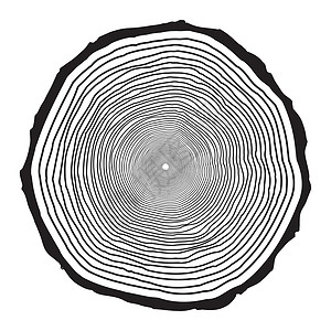 同心环白色背景上孤立的树干环设计森林树桩日志生长木材松树生活植物戒指卡通片设计图片