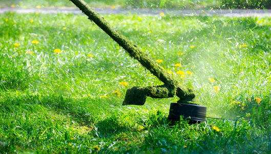 除草器在园中切草花园刀具细绳杂草园艺公园生长环境机器工具背景