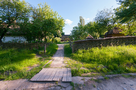 在果树阴荫下绿草地毯上的农村住房;背景图片