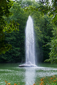 水洒了从树的绿叶到池塘中央喷泉后面的美丽景色 水流一清二楚 涨高了点 (笑声)背景