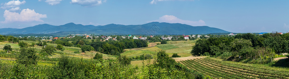 远山背景的村庄附近有农用土地的山丘全景(以远山为背景)背景图片