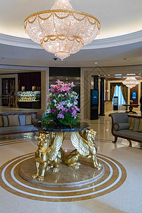 金色艺术吊灯一个宽敞的大厅 一个宽敞的大厅 里面有一盏巨大的水晶吊灯 昂贵的家具 一张放着金色狮鹫的花桌背景