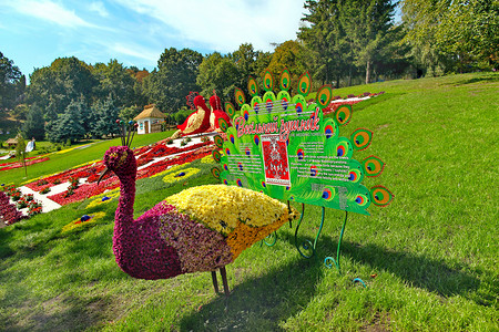 龙年大吉花艺雕塑Japtitsa 由背面的装饰多色鲜花制成背景