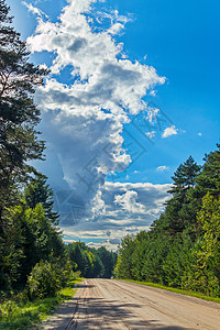 沿着大片林木沿长长的森林树行路 对抗白云笼罩的蓝色天空背景图片