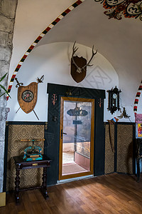 博物馆中的鹿角鹿和国家装饰品中美丽的天花板高清图片