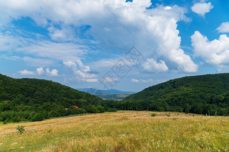 有野花的草地两座平行的山丘从带干草的田地向远处有山岳的大山谷开阔视野背景